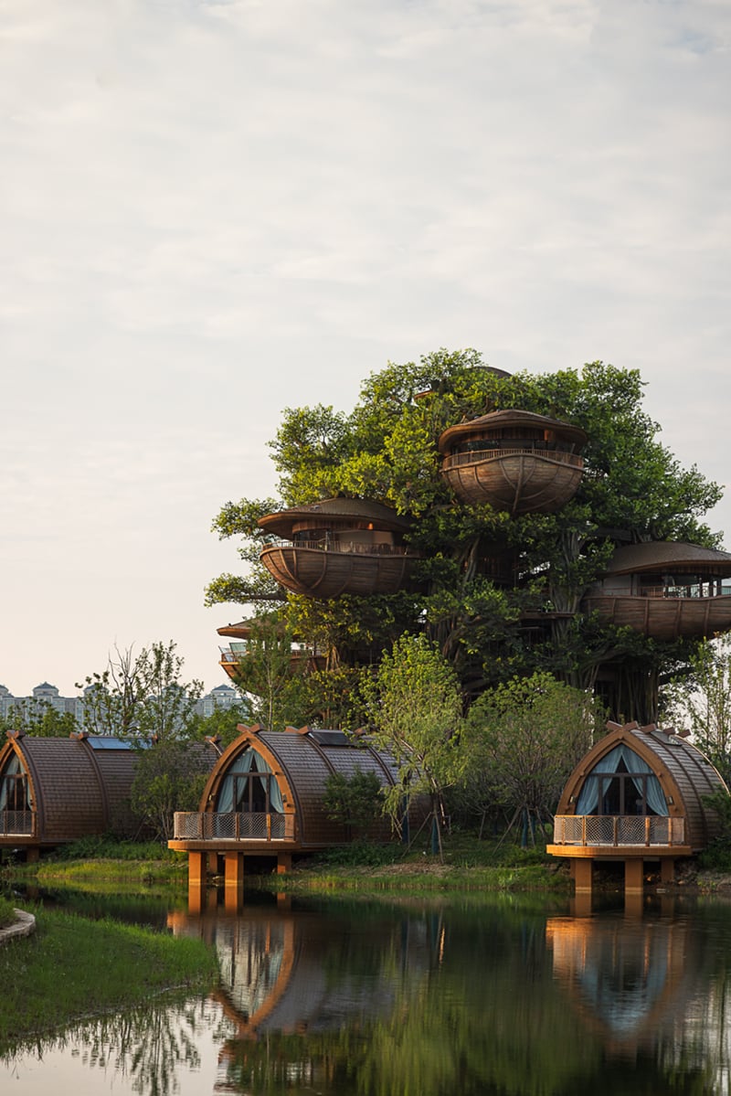 国际认可！武汉城建开元森泊度假乐园斩获2025伦敦设计奖铂金奖